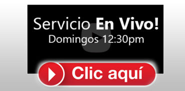 Servicio En Vivo